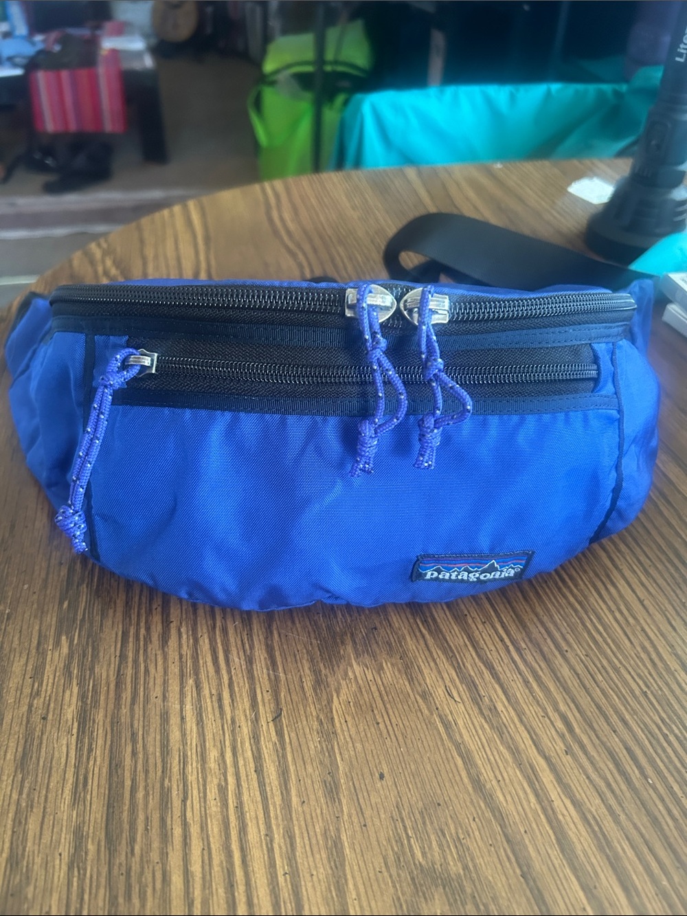 Patagonia Fanny Pack